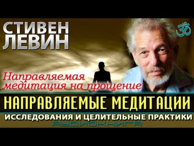 Левин Стивен - Направляемые медитации, исследования и целительные практики