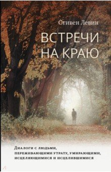 Левин Стивен - Встречи на краю