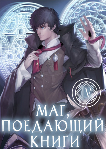 Mc Enroe - Маг, поедающий книги. Книга 4