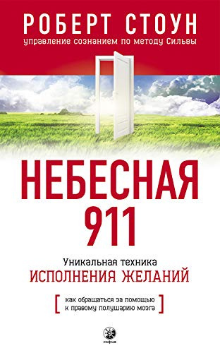 Стоун Роберт - Небесная 911