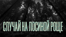 Новгородов Олег - Случай на Лосиной Роще