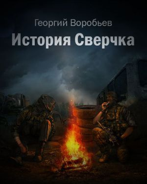 Воробьёв Георгий - История Сверчка