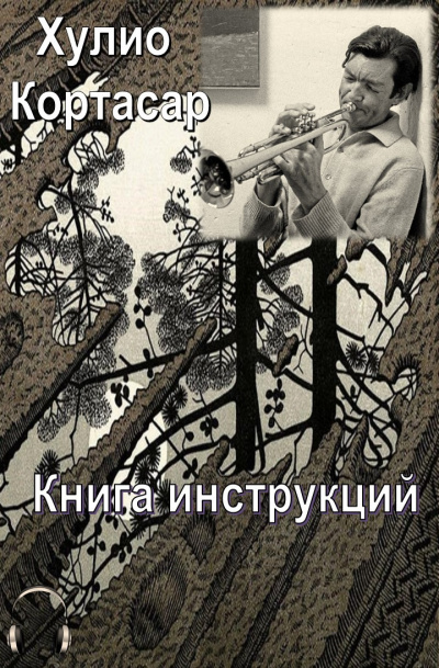 Кортасар Хулио - Книга инструкций