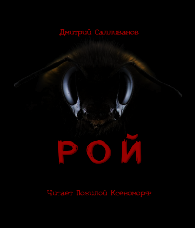 Салливанов Дмитрий - Рой