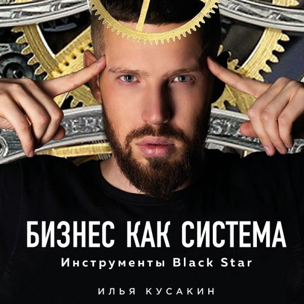 Бизнес как система. Инструменты Black Star