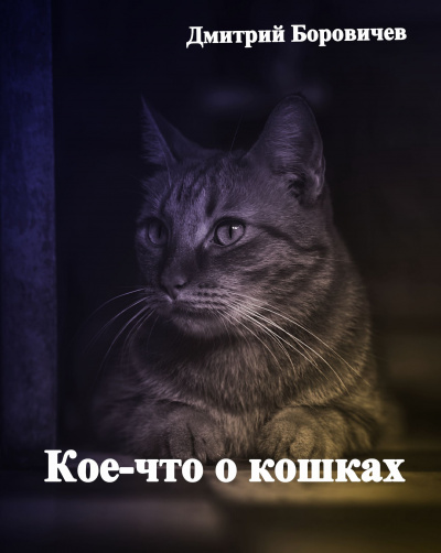 Боровичёв Дмитрий - Кое-что о кошках