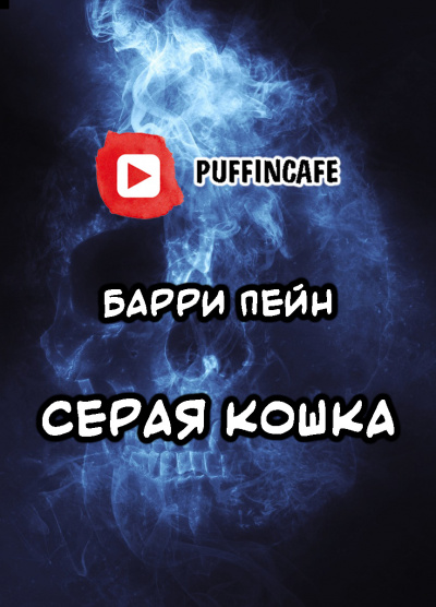 Пейн Барри - Серая кошка